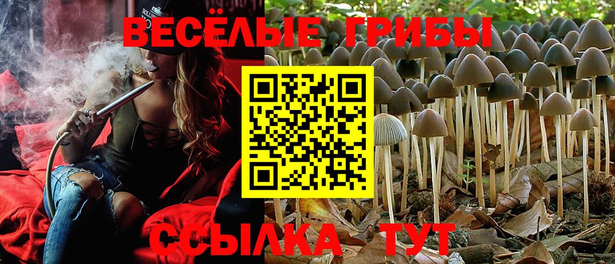 Псилоцибиновые грибы мицелий Белебей